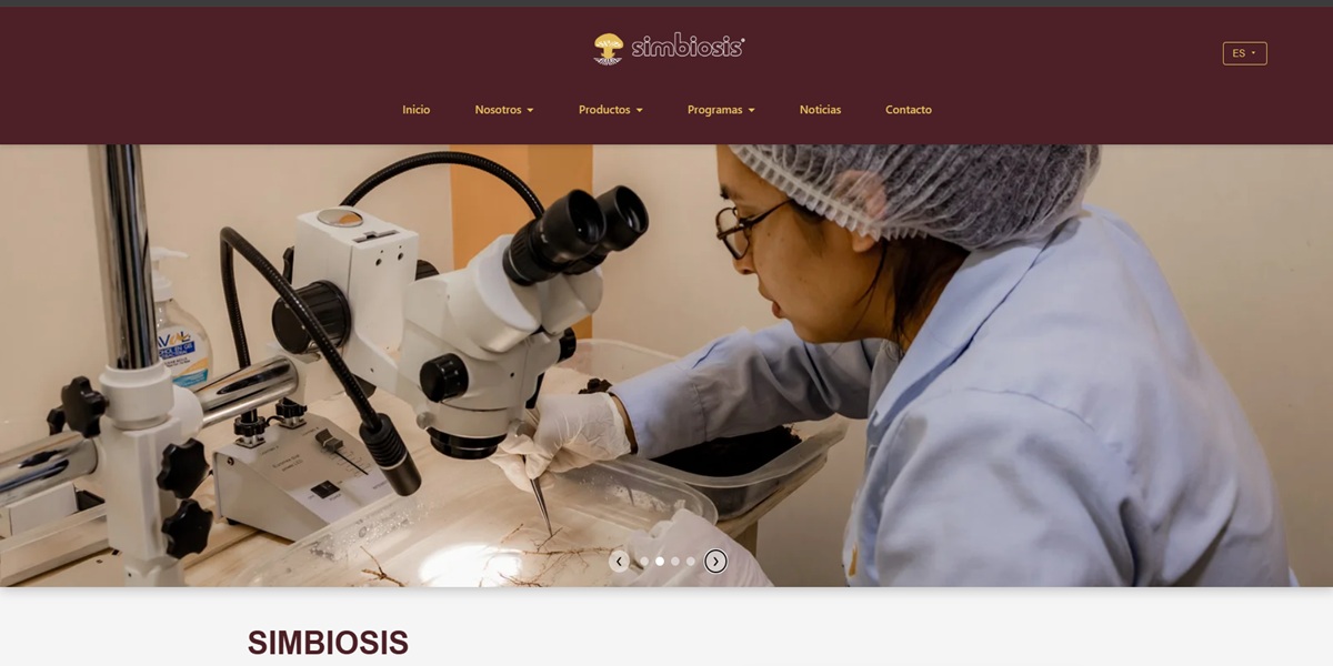 Sitio web corporativo Simbiosis desarrollado por DIGITALTEI